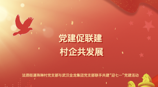 “党建促联建 村企共发展”——法泗街道珠琳村党支部与武汉金龙集团党支部联手共建“迎七一”党建活动