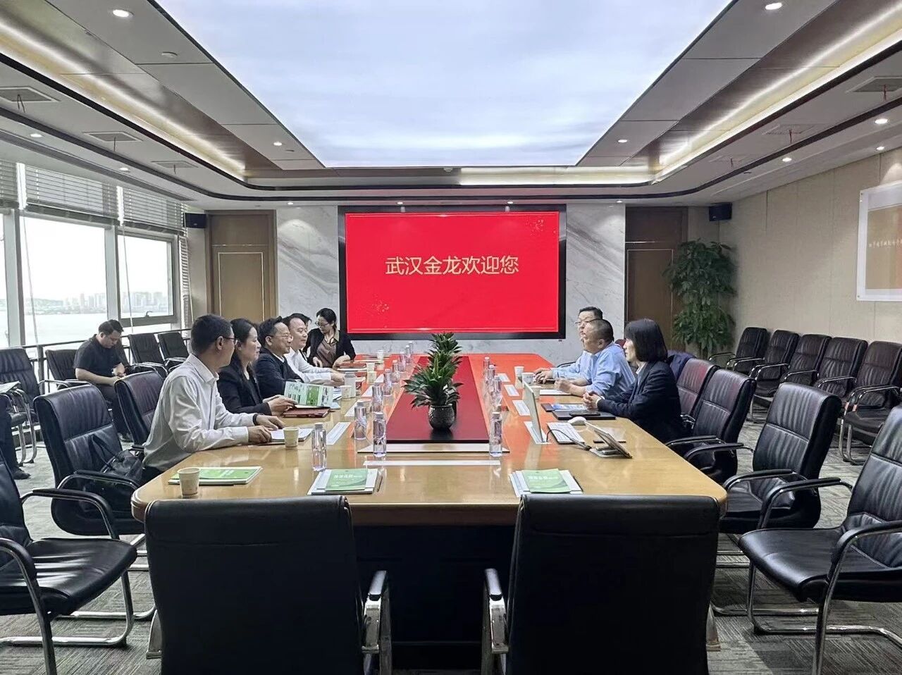 通城县委书记黄建平赴武汉金龙集团考察，共商生猪产业高质量发展